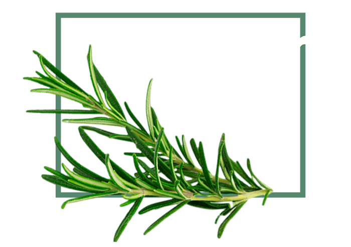 Antibacterial