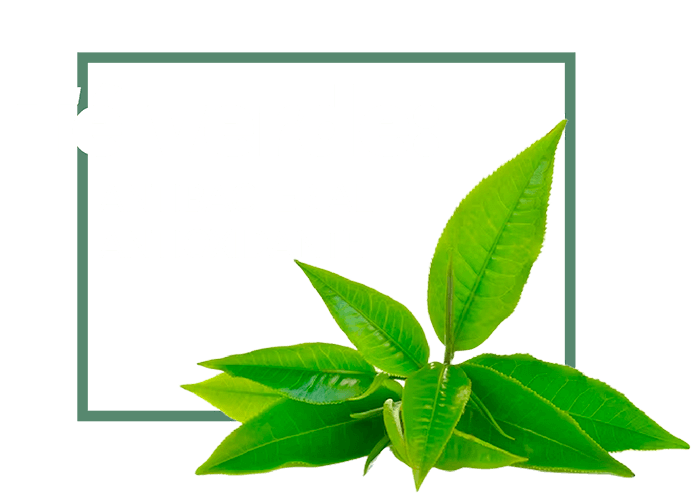 ANTIBACTERIAL, ANTIOXIDANTE